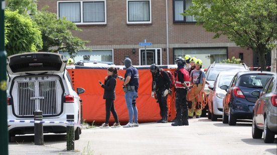 Police use flash grenades to get confused man from roof