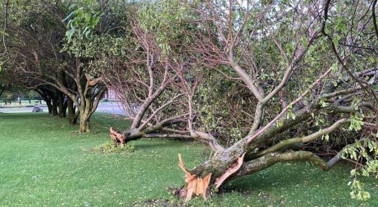 Possible twister probed after storm leaves mark on CK