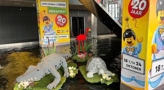 Precious promotional flamingo from Lego stolen from Jaarbeurs hall Hopefully