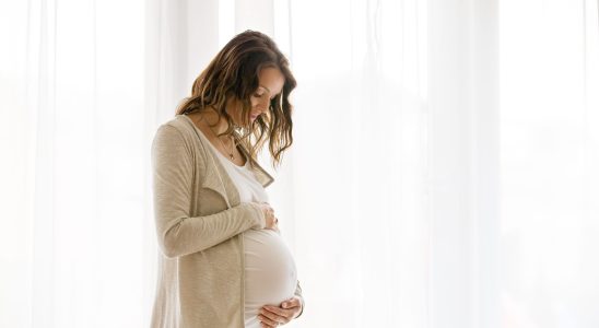 Pregnancy how environmental exposures impact the development of the unborn