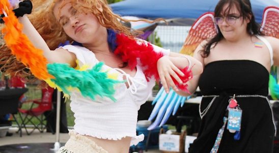 Sarnia Lambton Pridefest returns to Centennial Park