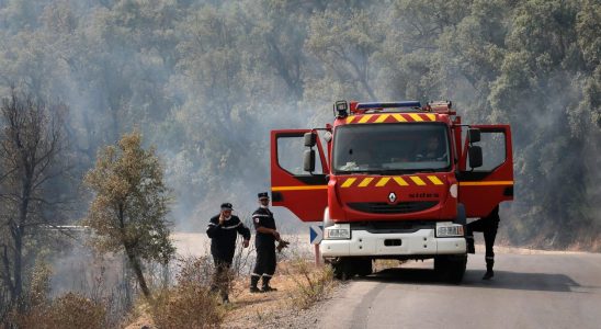 Several dead in Algerian fires