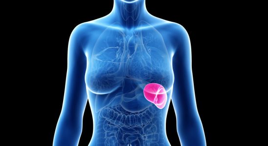 Spleen definition role of this organ diagram anatomy