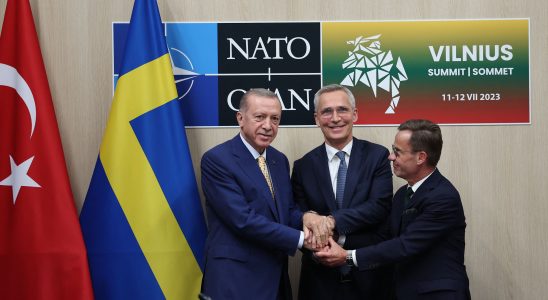 Sweden in NATO Erdogans good calculations