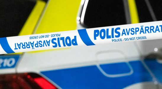 Teenage boy stabbed in Malmo