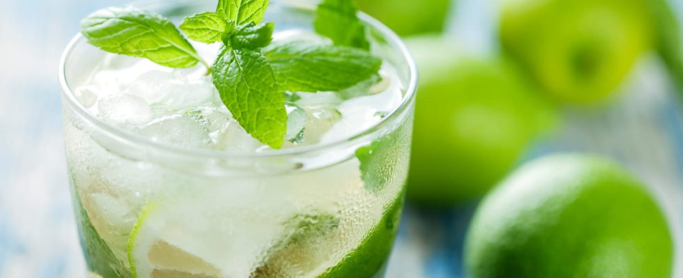 The secret recipe for a successful mojito according to the