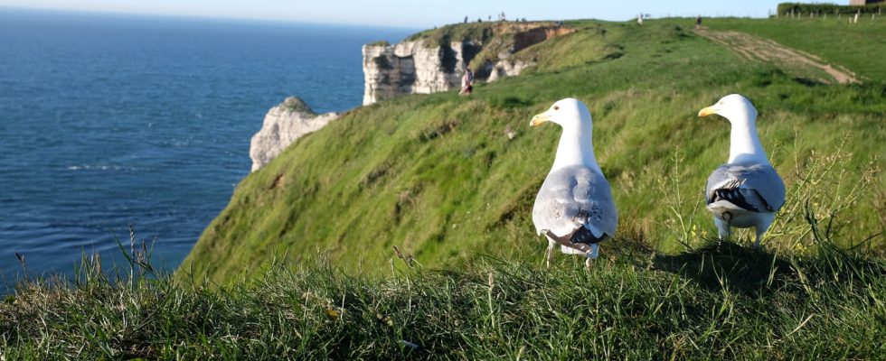 These French destinations are absolutely to be avoided this summer