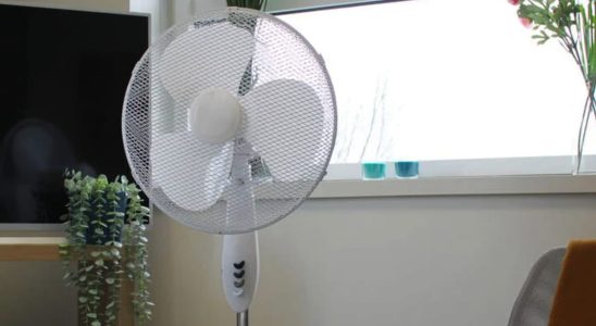 This 3 speed fan loses half its price