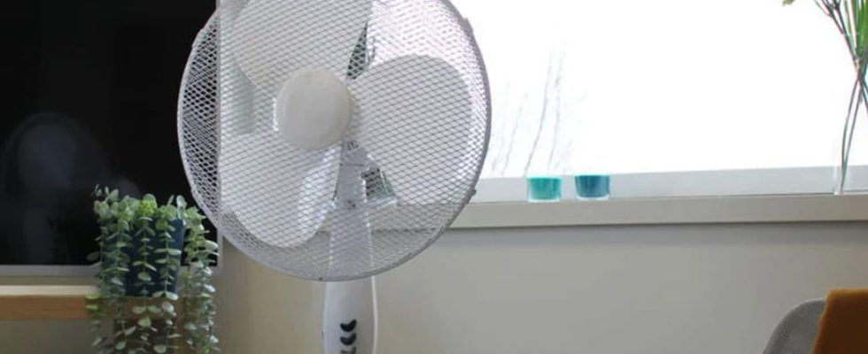 This 3 speed fan loses half its price