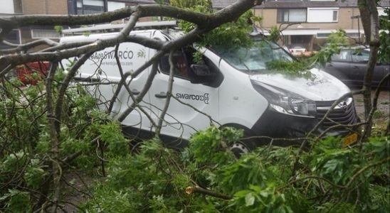 Train traffic halted due to storm Utrecht fire brigade helps