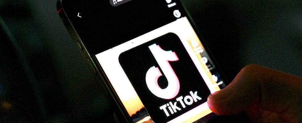 Twitter becomes X why TikTok is hunting on its land