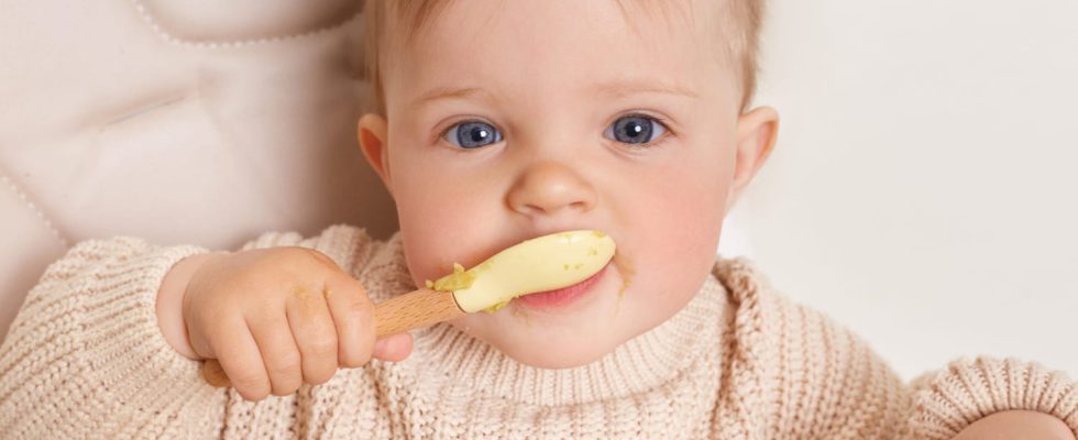 What cheeses can baby eat and at what age