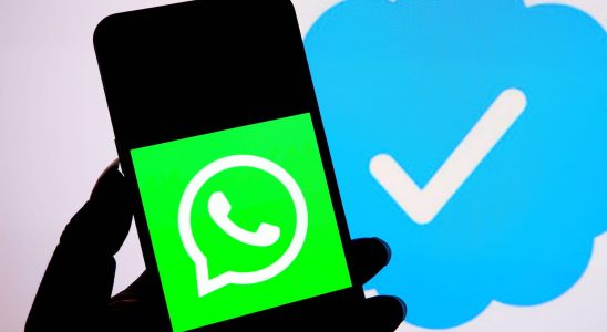 Whatsapp outage beware bug confirmed this Wednesday July 19 What