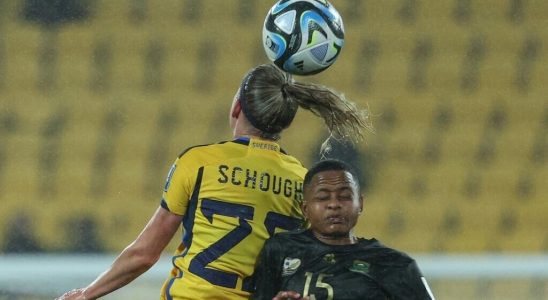 Womens World Cup South Africa loses to Sweden