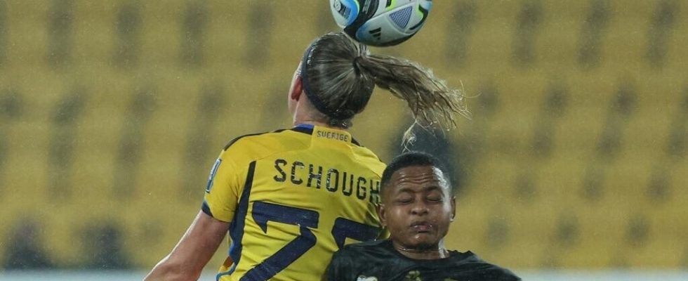 Womens World Cup South Africa loses to Sweden