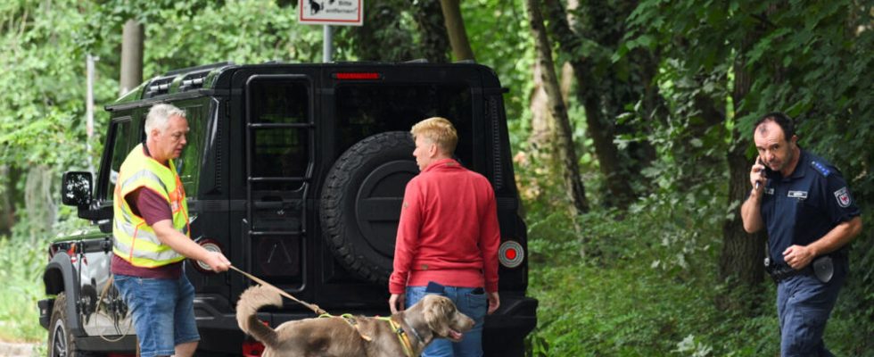 a lioness on the loose causes panic in a town