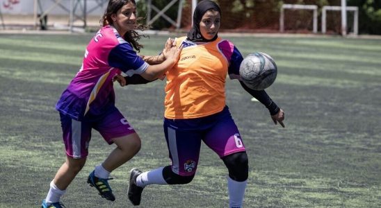 the Atlas lionesses also want to roar