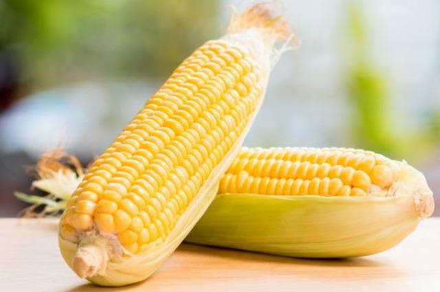 corn 2