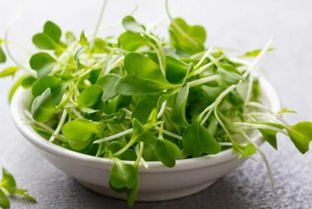 watercress 6