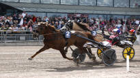 A rare crash was seen in the royal trots