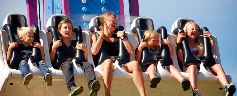 Accident at Luna Park how are rides controlled in amusement