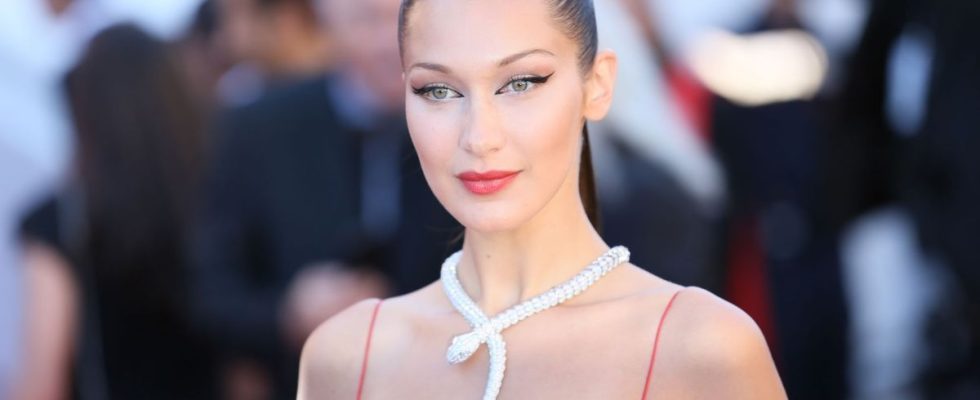 Affected by Lyme disease Bella Hadid is fine