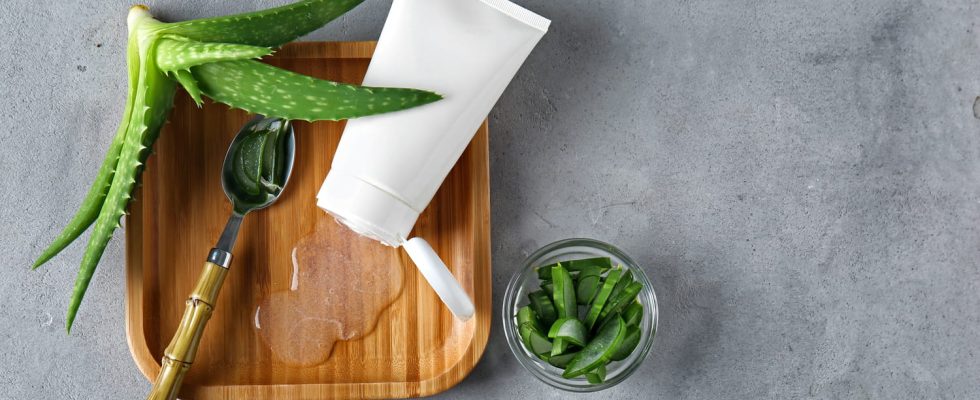 Aloe vera gel actions to relieve sunburn