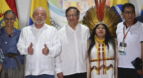 Amazon Summit in Brazil an appointment to save the lungs