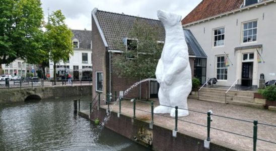 Amersfoort polar bear is banned from urinating at night It