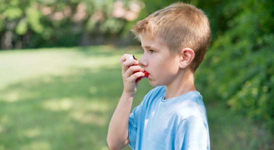 Asthma in children why is there a peak each school