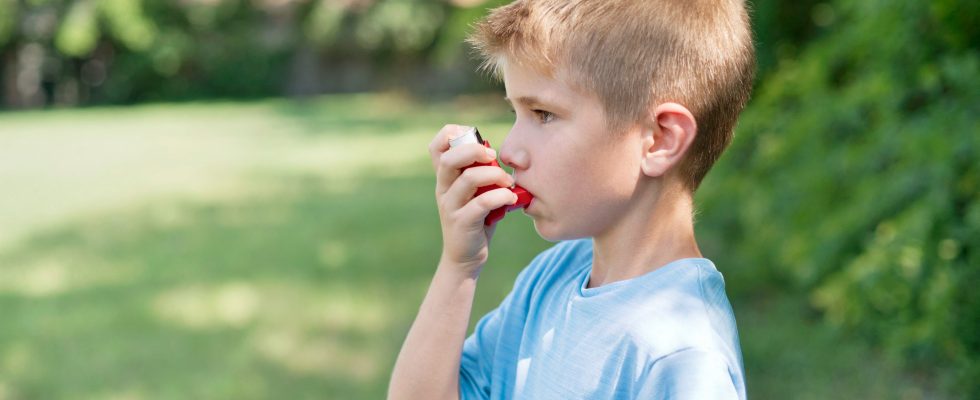 Asthma in children why is there a peak each school