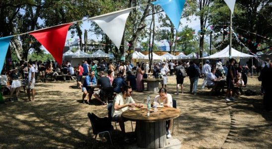 At the summer university of France Insoumise the union of