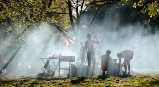 Barbecue and fireplace ban in Utrecht temporarily off the table