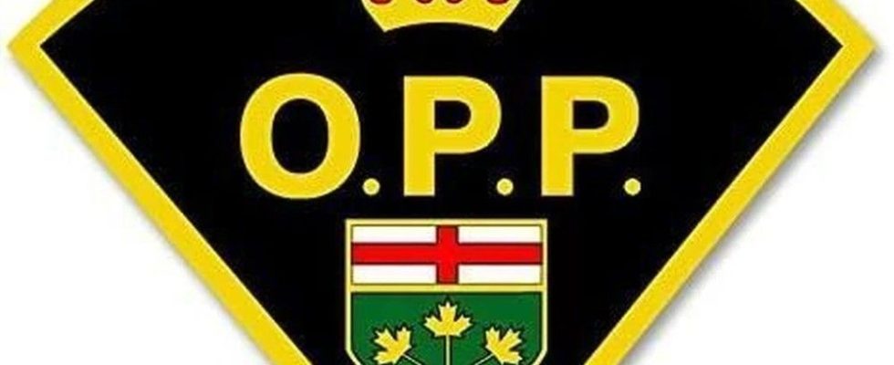 Brantford man charged in 100000 theft