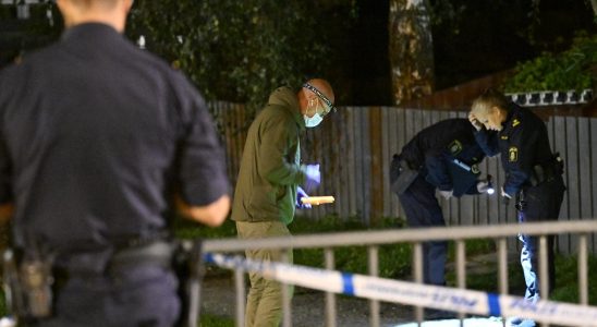 Bullet holes in apartment buildings in Rosengard