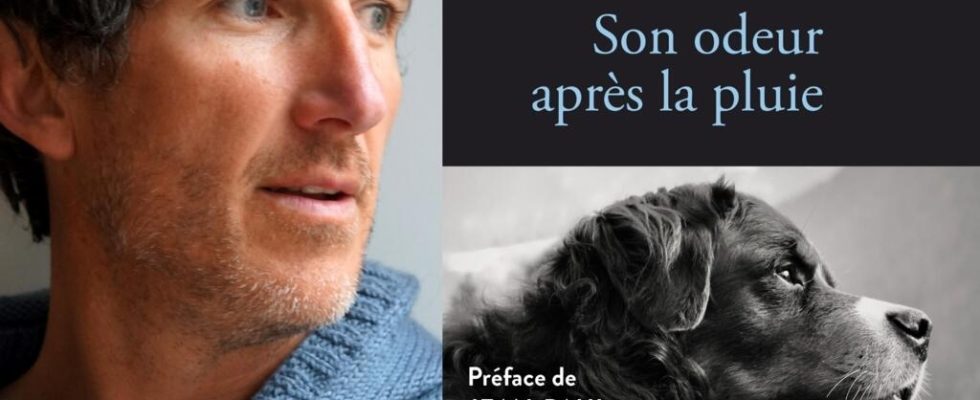 Cedric Sapin Defour a dog and life rises