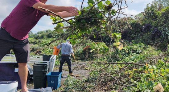 Cleanup continues in cyclonic storms aftermath as researchers confirm downburst