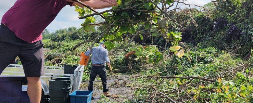 Cleanup continues in cyclonic storms aftermath as researchers confirm downburst