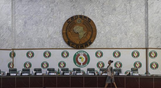 Crisis in Niger ECOWAS activates its standby force but continues