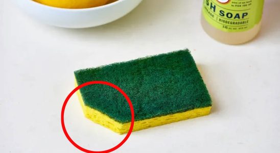 Cut a corner of the dish sponge this trick is