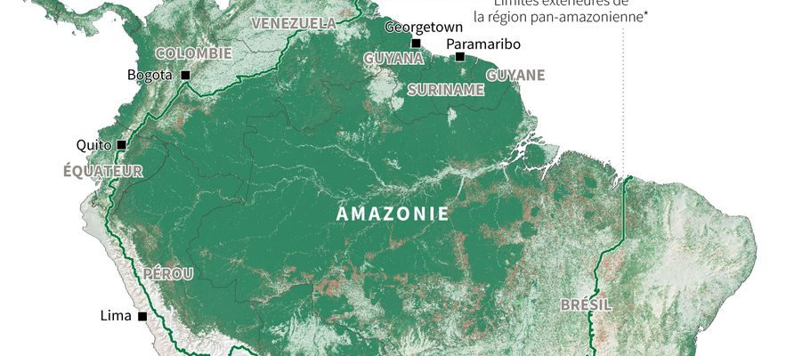 Deforestation of the Amazon in Brazil Lulas balancing act