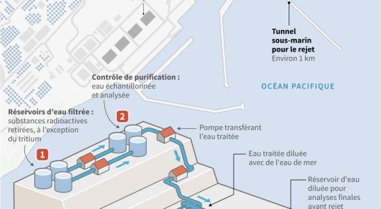 Discharge of Fukushima waters The Japanese population remains strongly divided