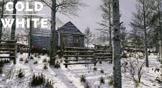 Domestic PC game The Cold White is making its debut