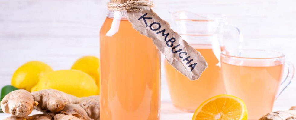 Drinking kombucha significantly lowers blood sugar