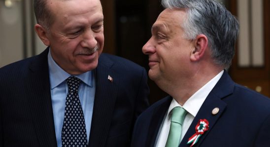 Erdogan meets Orban will the blue yellow NATO date