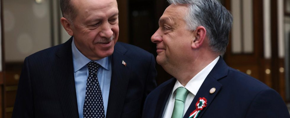 Erdogan meets Orban will the blue yellow NATO date