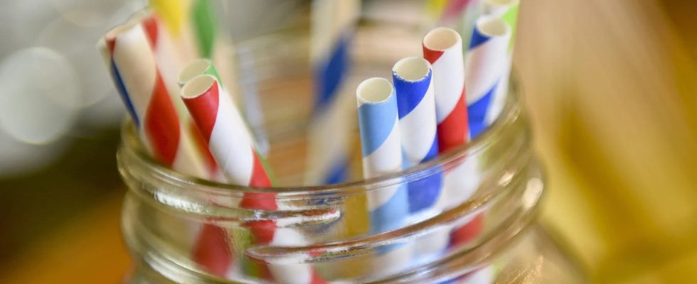 Europe has banned plastic straws but study shows paper straws