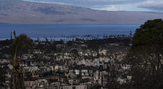 Fires in Hawaii the authorities assume not to have used