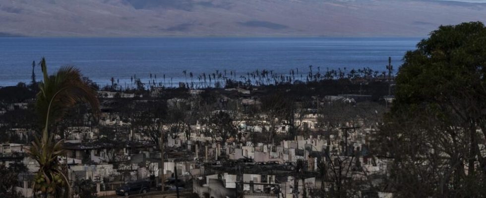 Fires in Hawaii the authorities assume not to have used