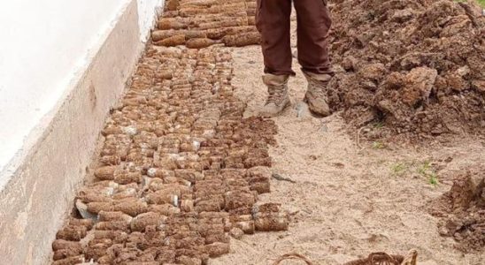 Found in the school yard Thousands of unexploded ordnance